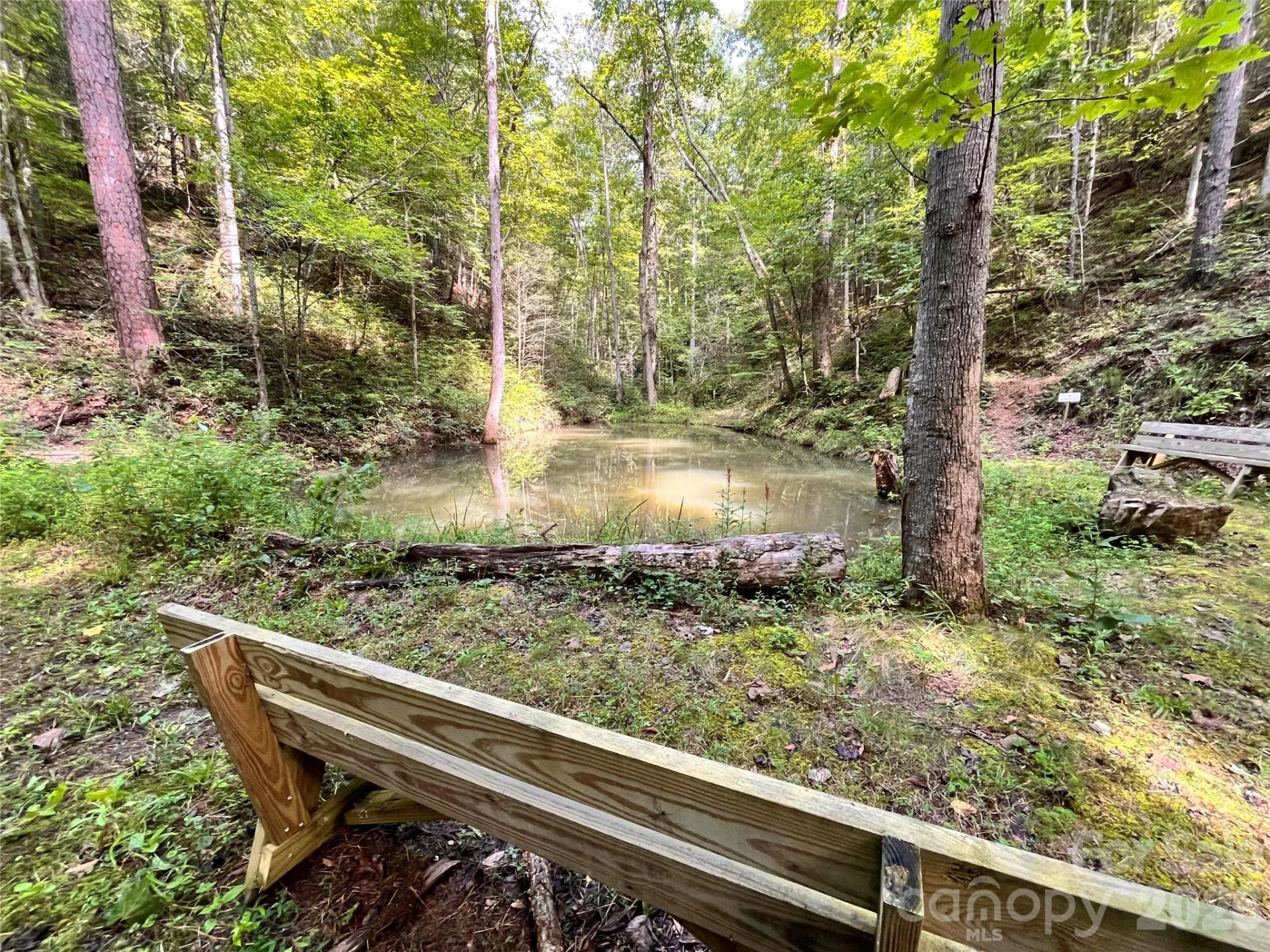 1295 Paint Rock Road - Photo 40