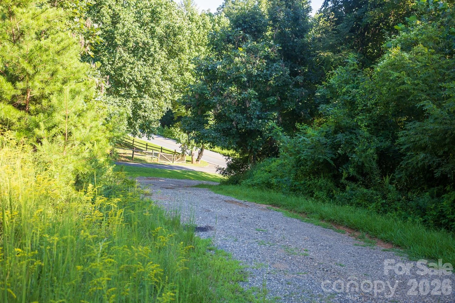 56 Longs Chapel Road - Photo 9