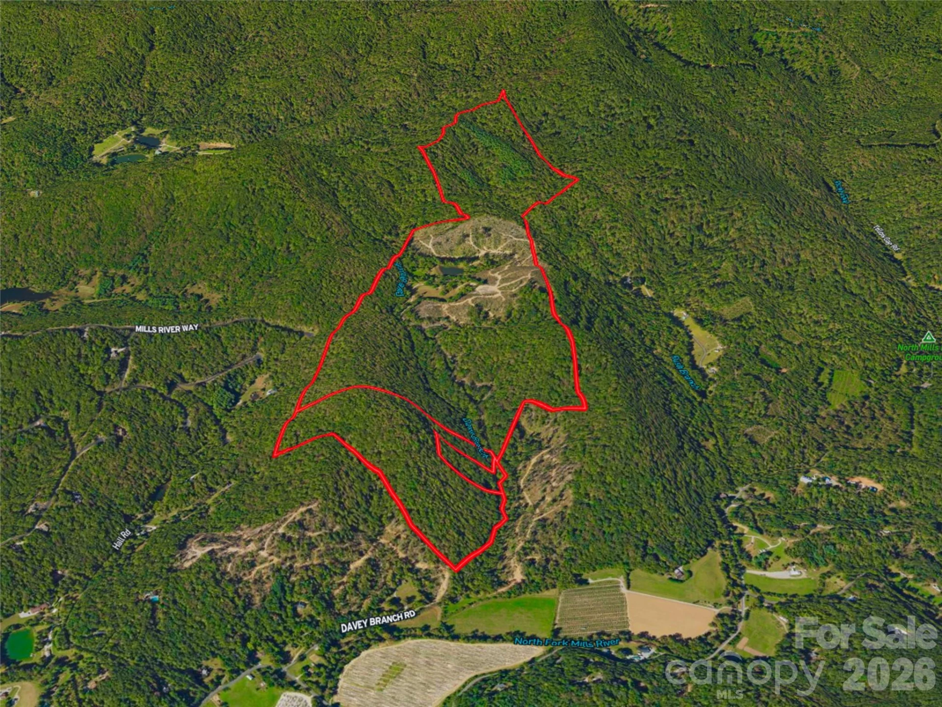 567 Davey Branch Road - Photo 4