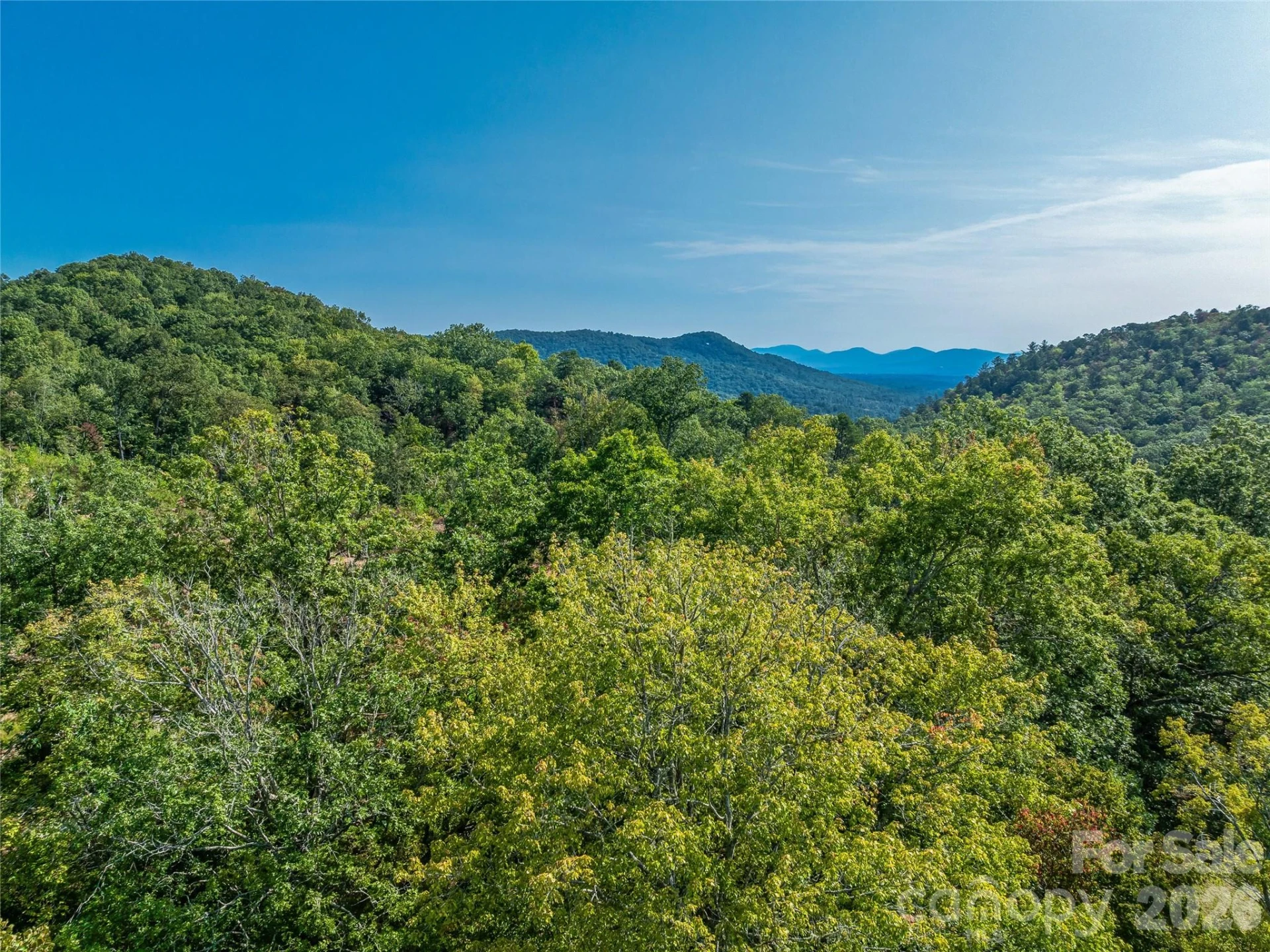 567 Davey Branch Road - Photo 5