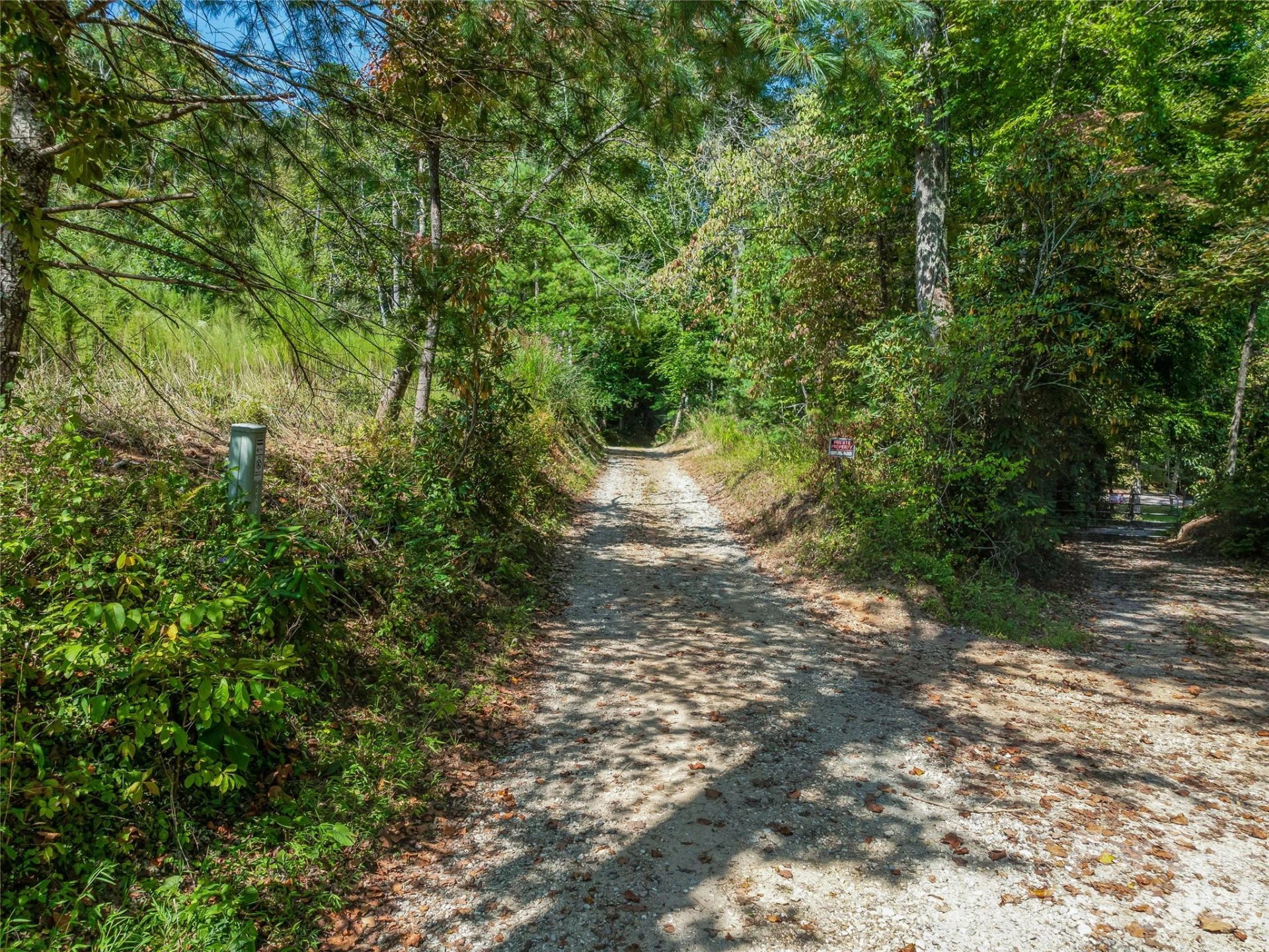 567 Davey Branch Road - Photo 12
