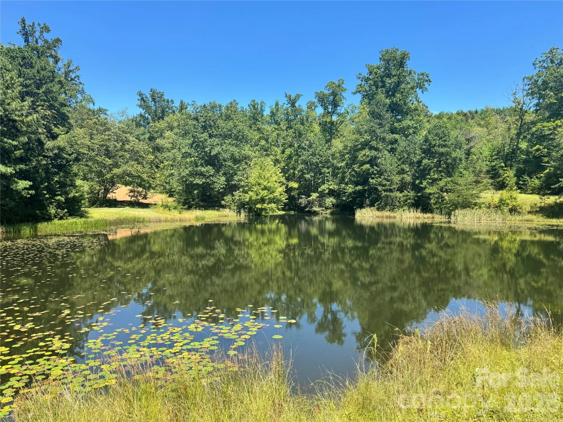567 Davey Branch Road - Photo 15