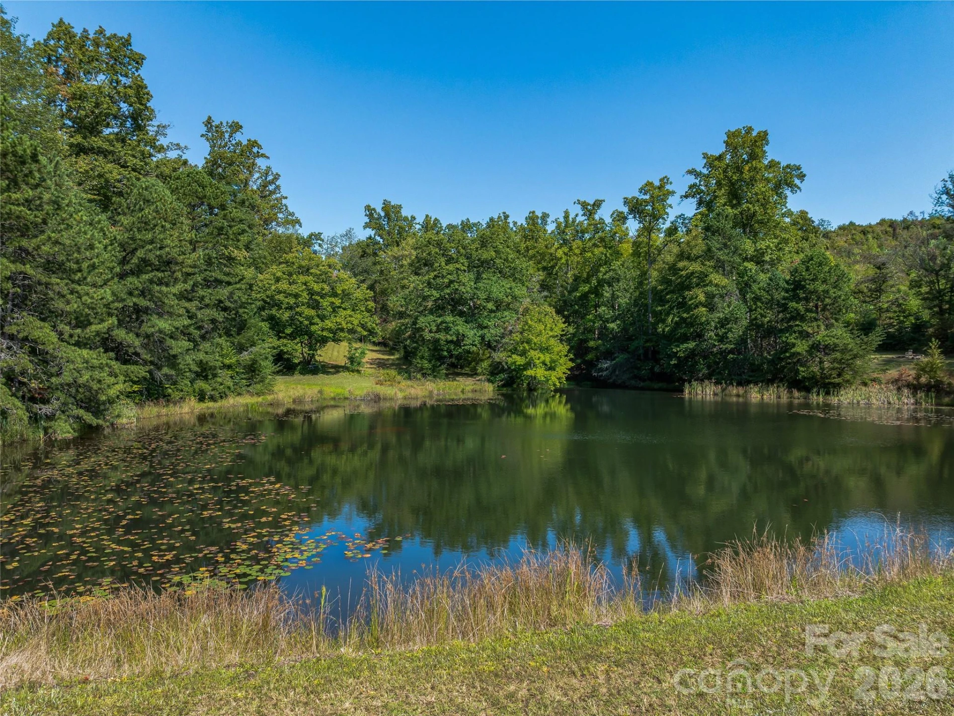 567 Davey Branch Road - Photo 22