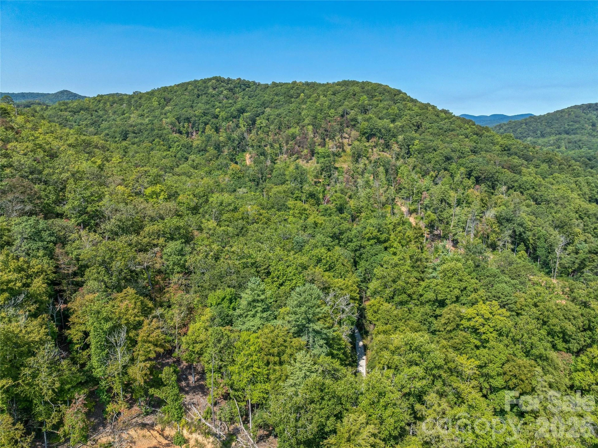 567 Davey Branch Road - Photo 23
