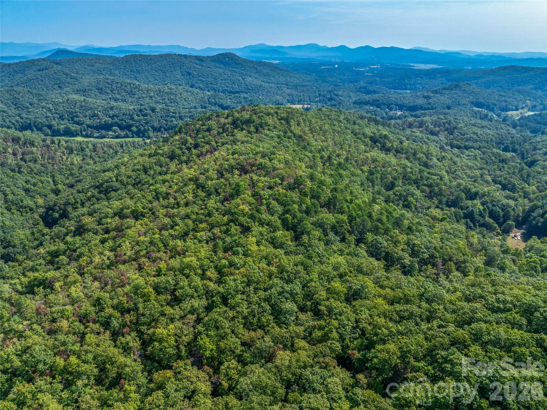 567 Davey Branch Road - Photo 33