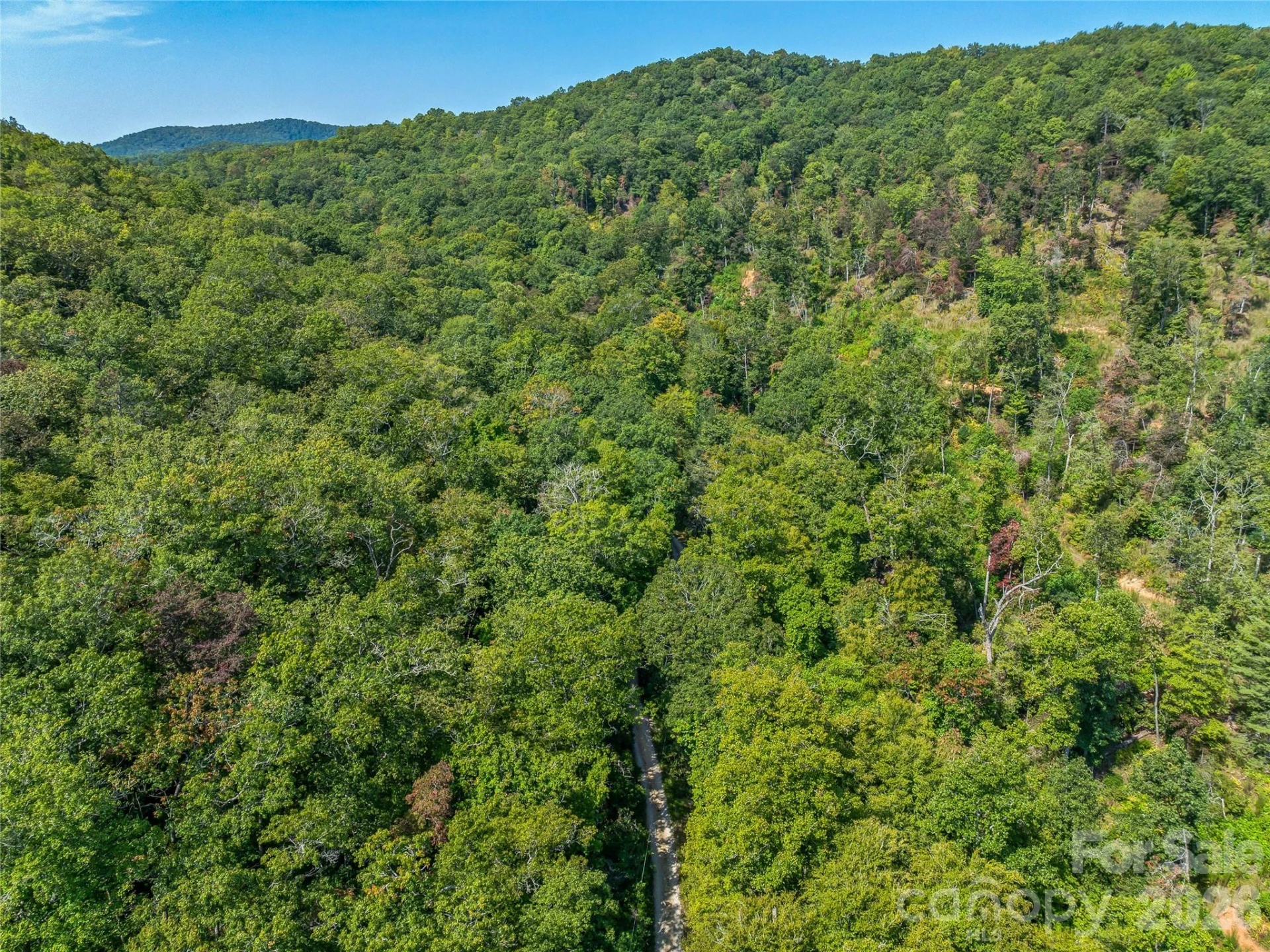 567 Davey Branch Road - Photo 37