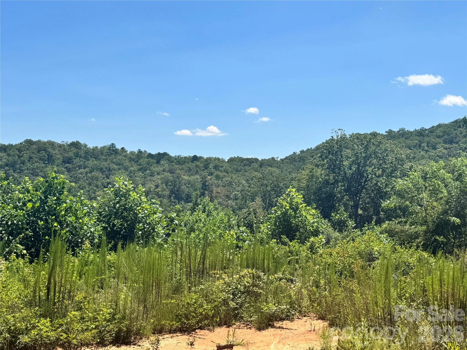 567 Davey Branch Road - Photo 44