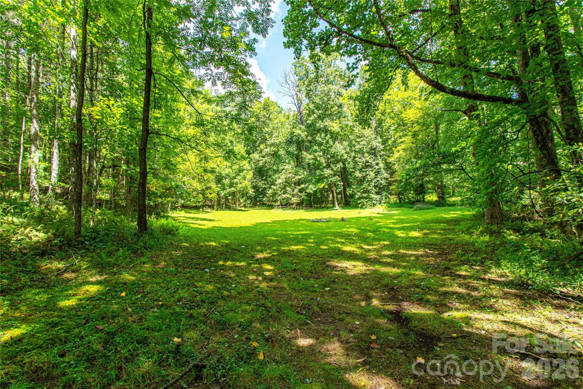 570 Flat Creek Valley Road - Photo 43