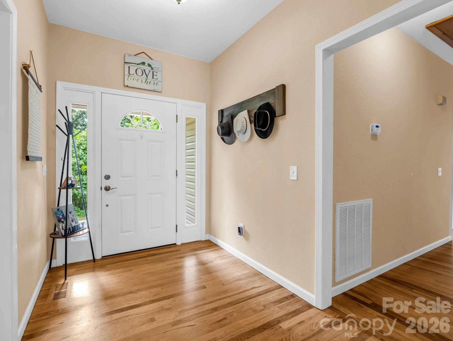 136 Limousine Lane - Photo 4
