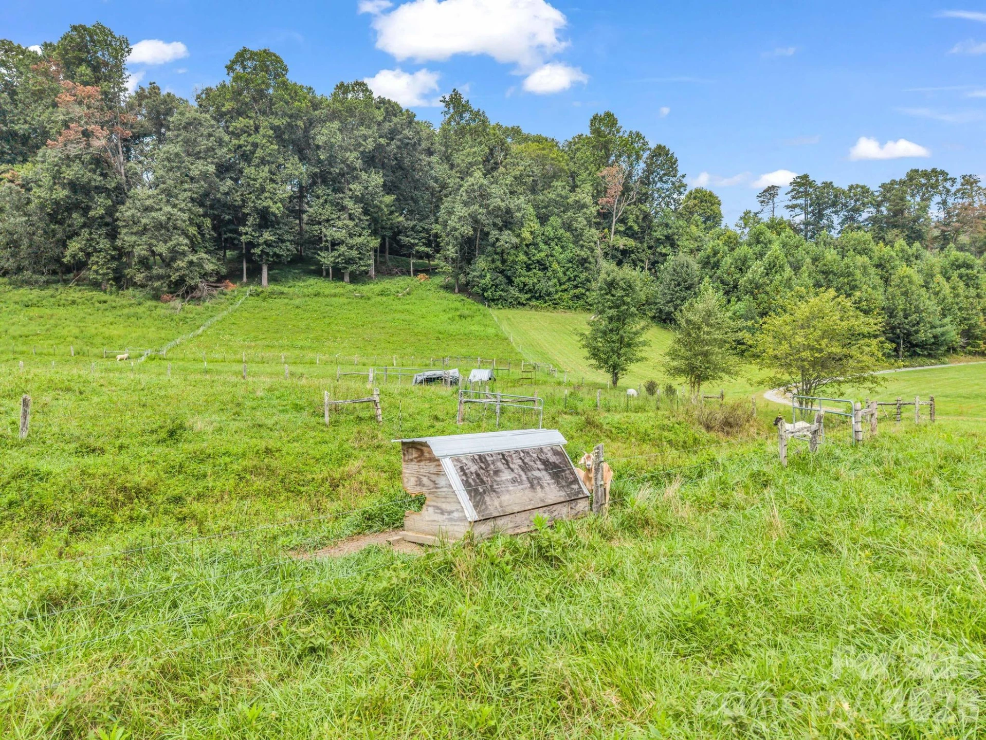 136 Limousine Lane - Photo 36