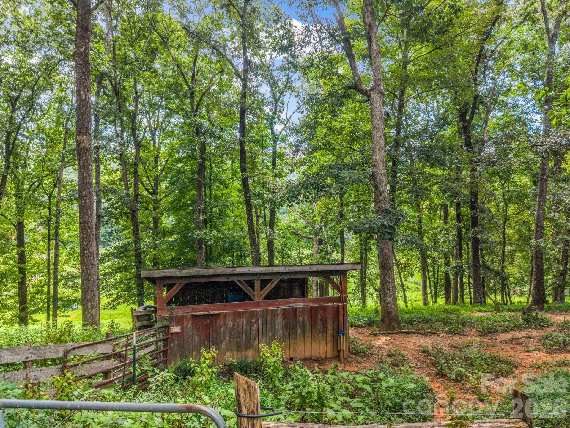 136 Limousine Lane - Photo 38