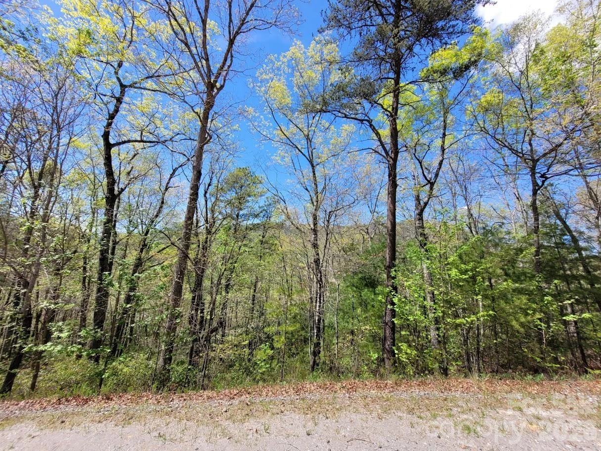 Lot 21 Little Fox Run - Photo 2