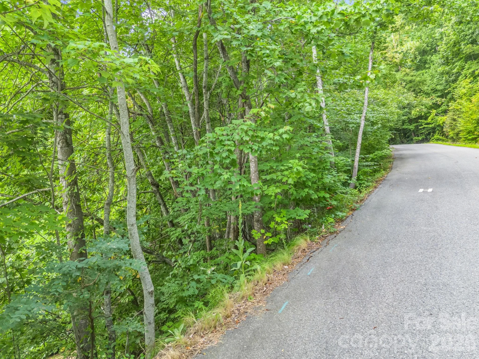 99999 Crestview Drive #A11 - Photo 8