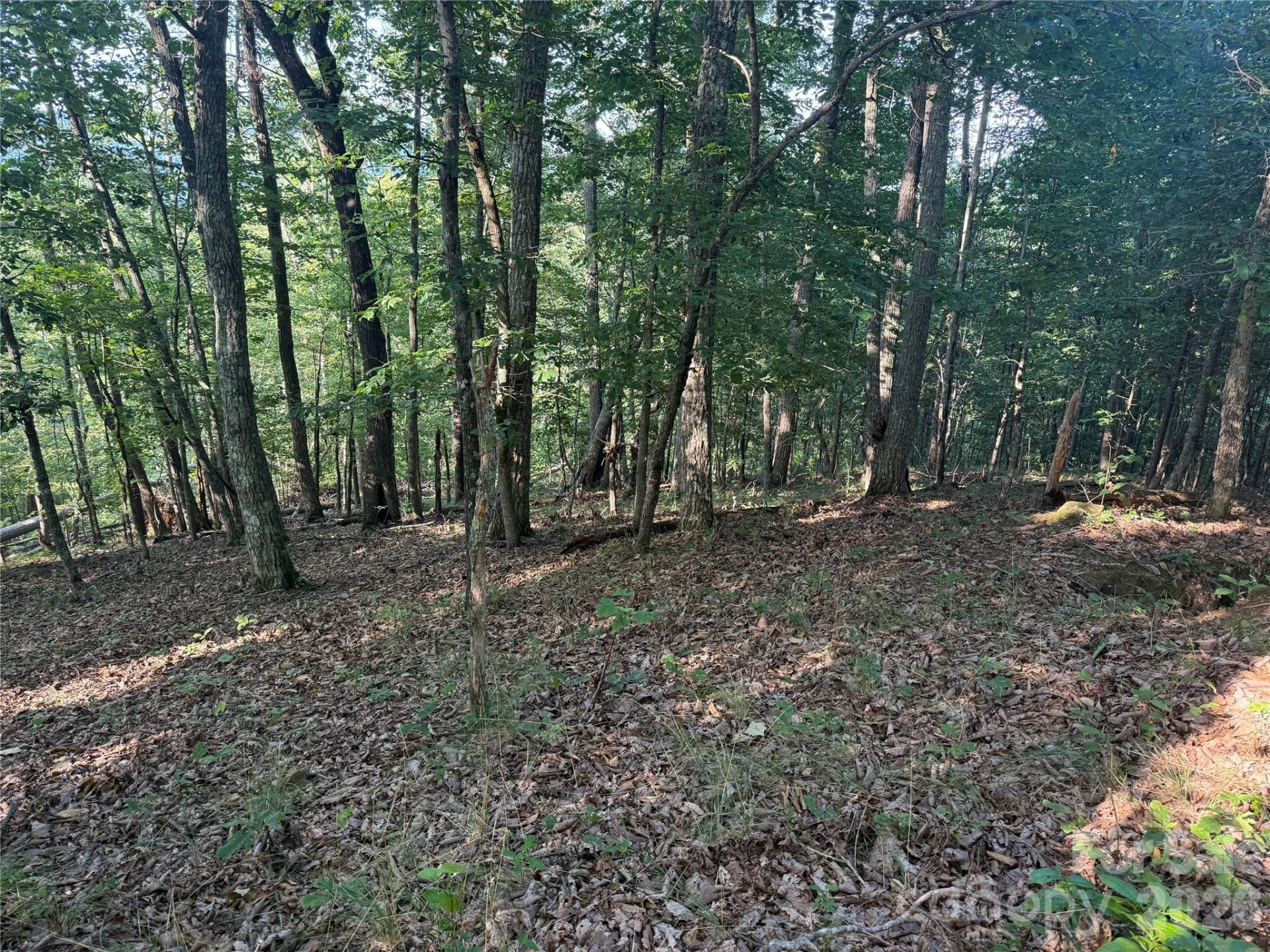 V/L Scenic Vista Drive #332/333 - Photo 4