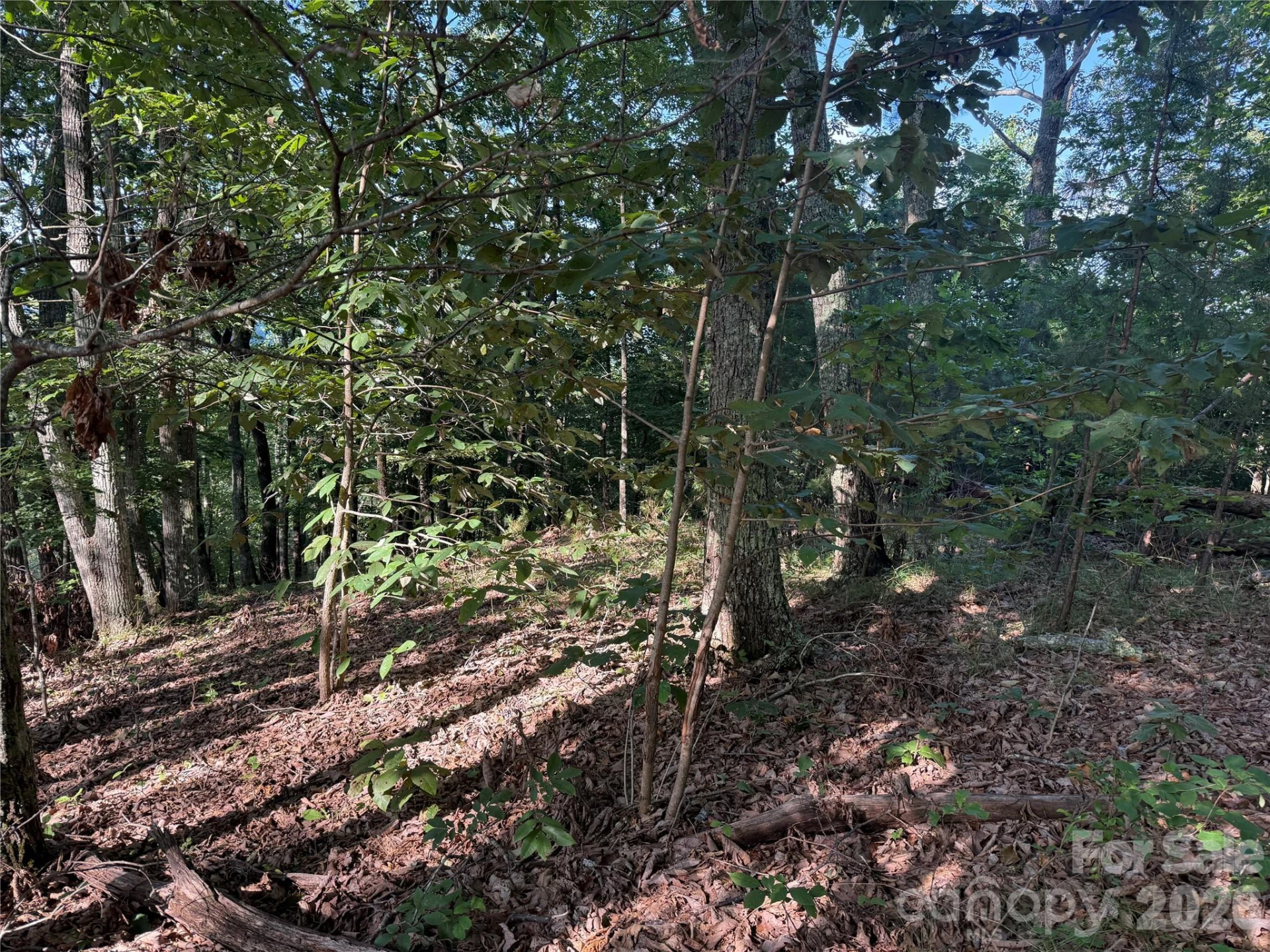 V/L Scenic Vista Drive #332/333 - Photo 6