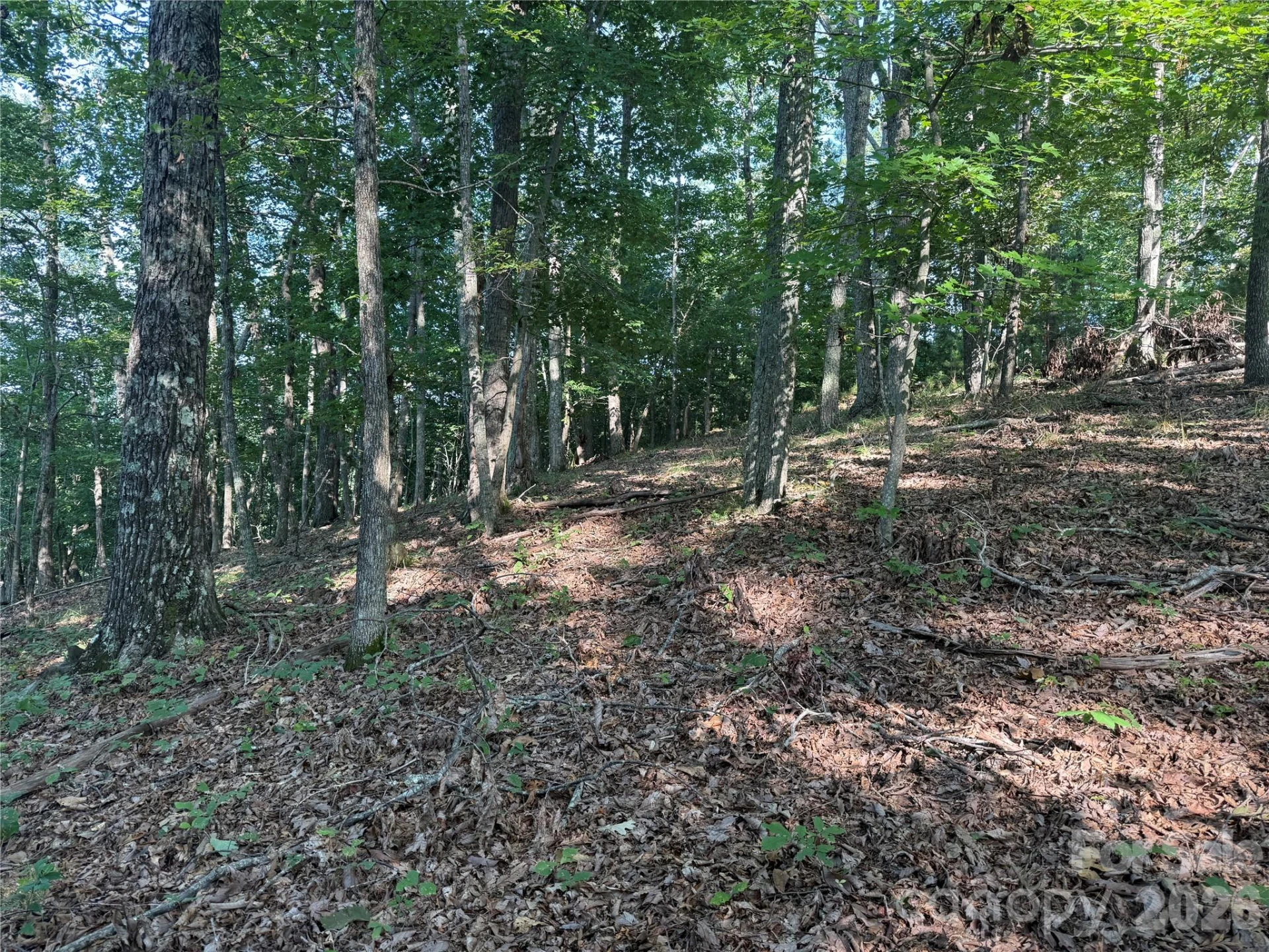 V/L Scenic Vista Drive #332/333 - Photo 9