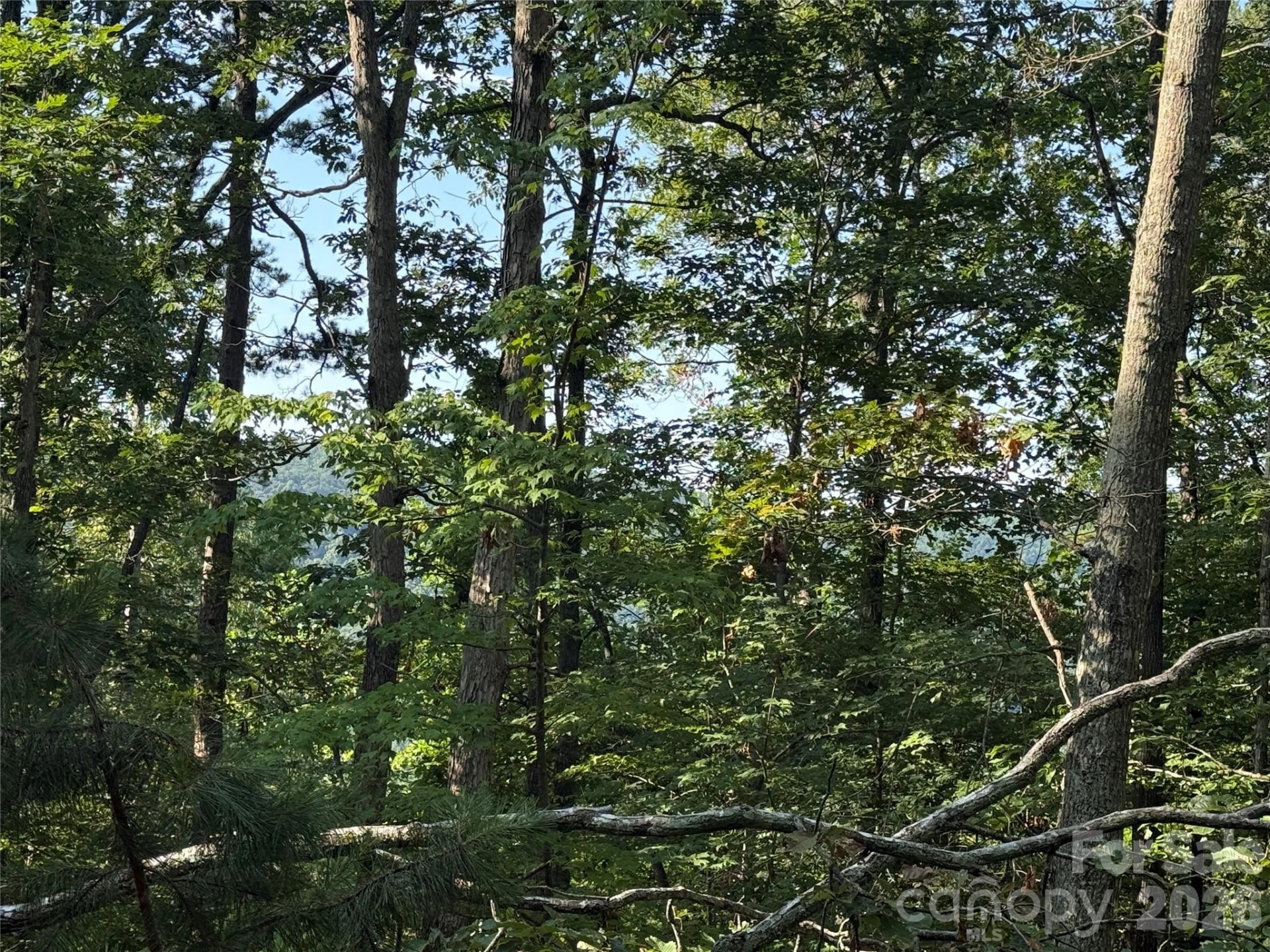 V/L Scenic Vista Drive #332/333 - Photo 15