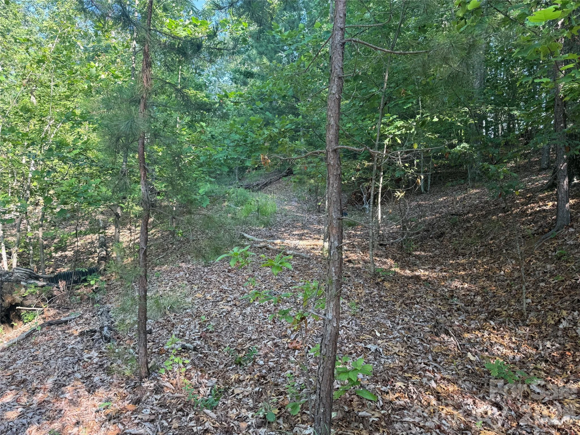 V/L Scenic Vista Drive #332/333 - Photo 16