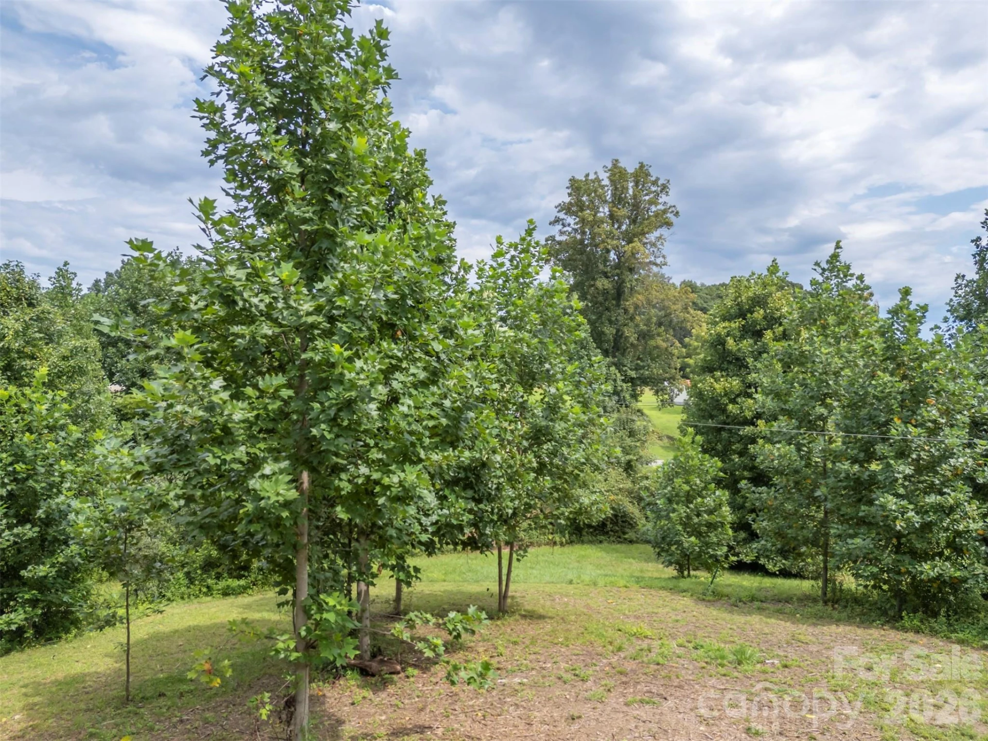 375 E King Street - Photo 37