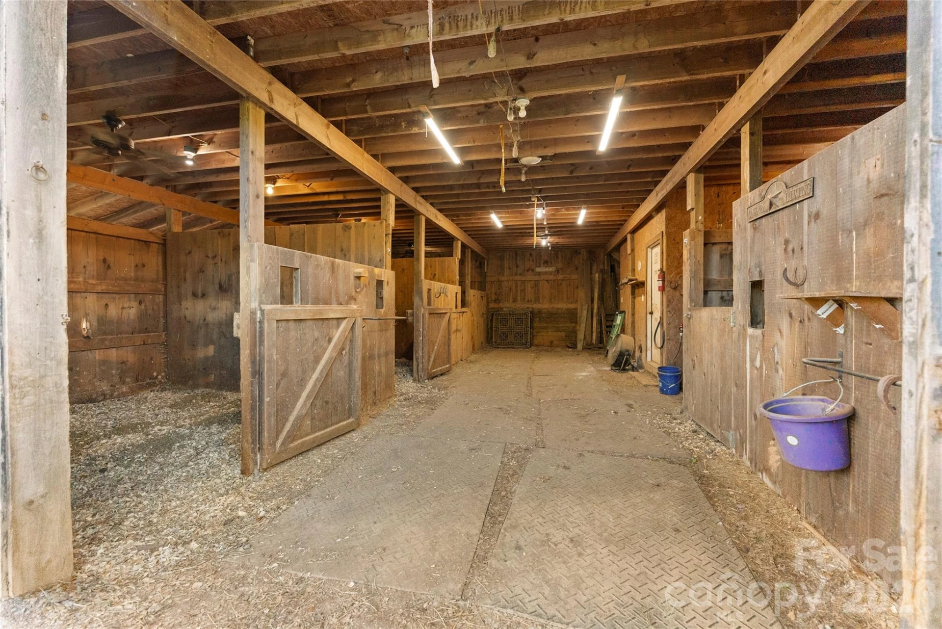 48 Silent Forest Drive - Photo 32