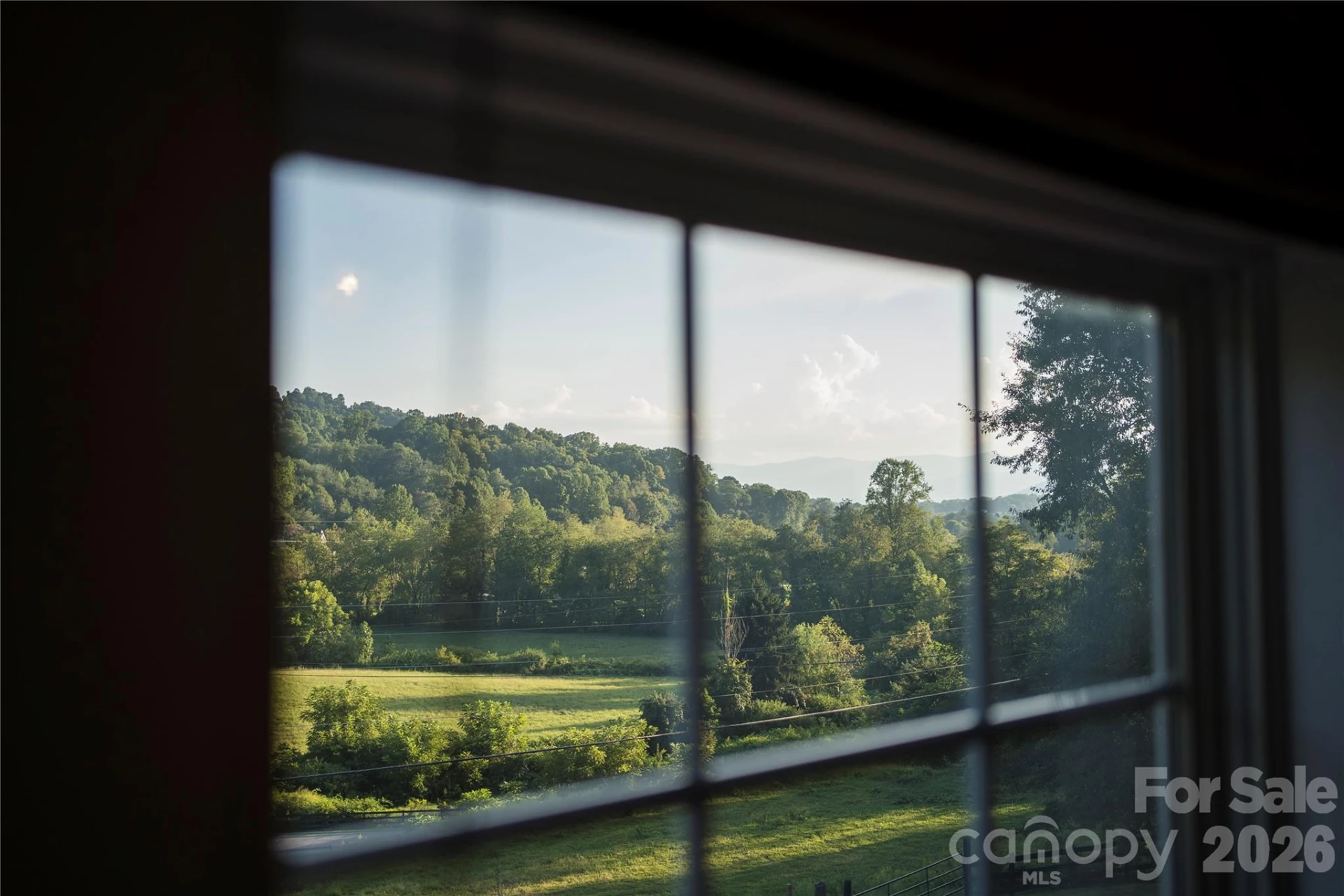 48 Silent Forest Drive - Photo 36