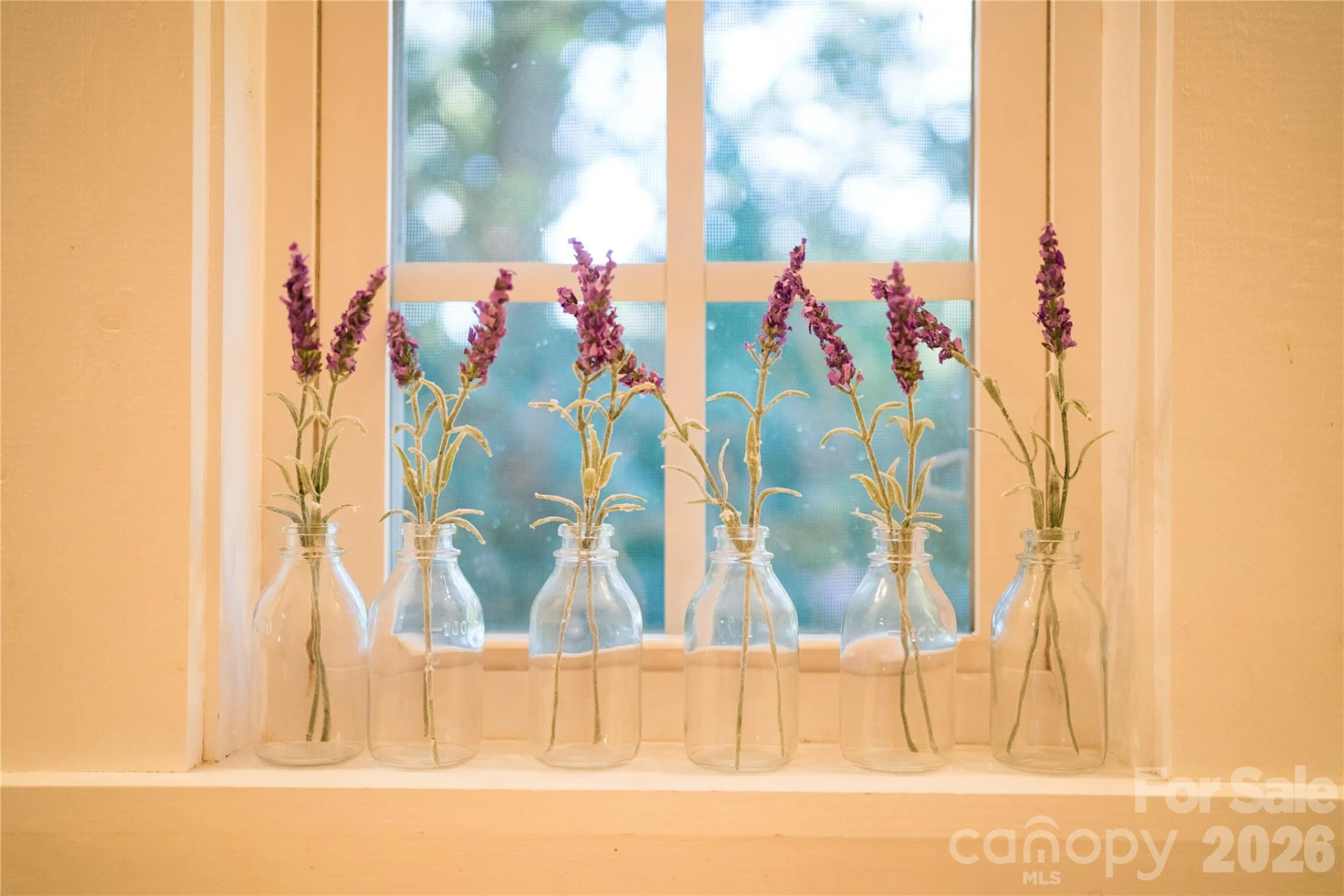 48 Silent Forest Drive - Photo 38