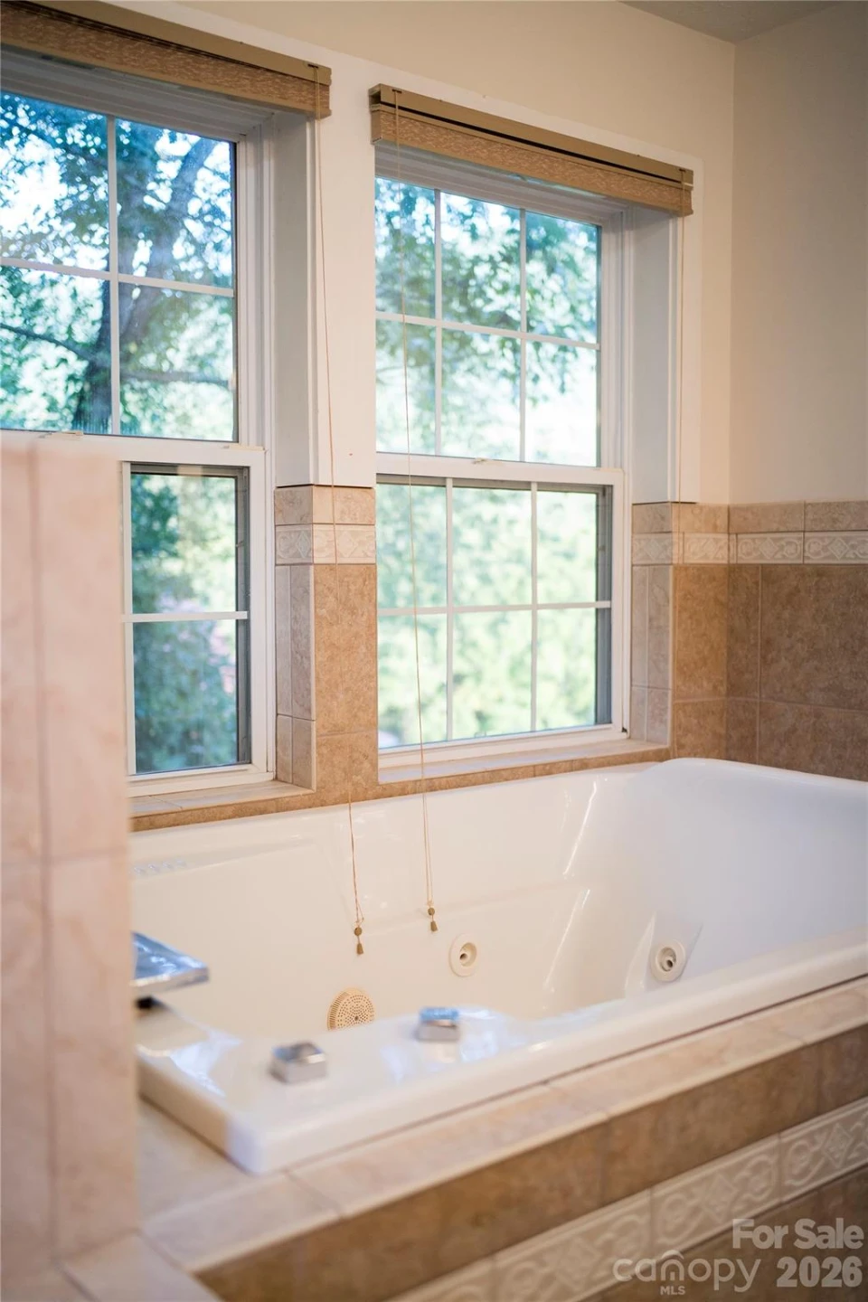 48 Silent Forest Drive - Photo 19