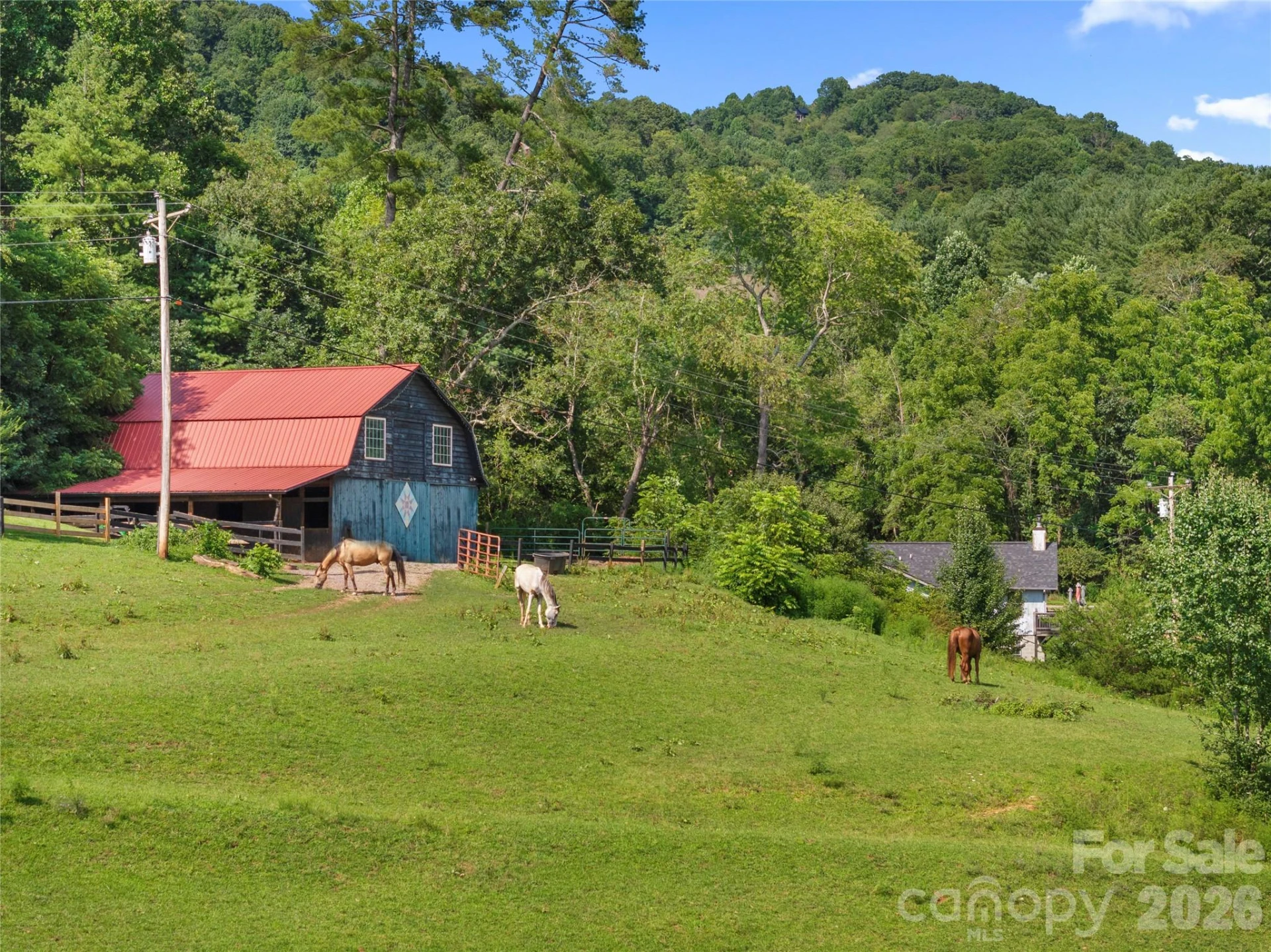 48 Silent Forest Drive - Photo 44