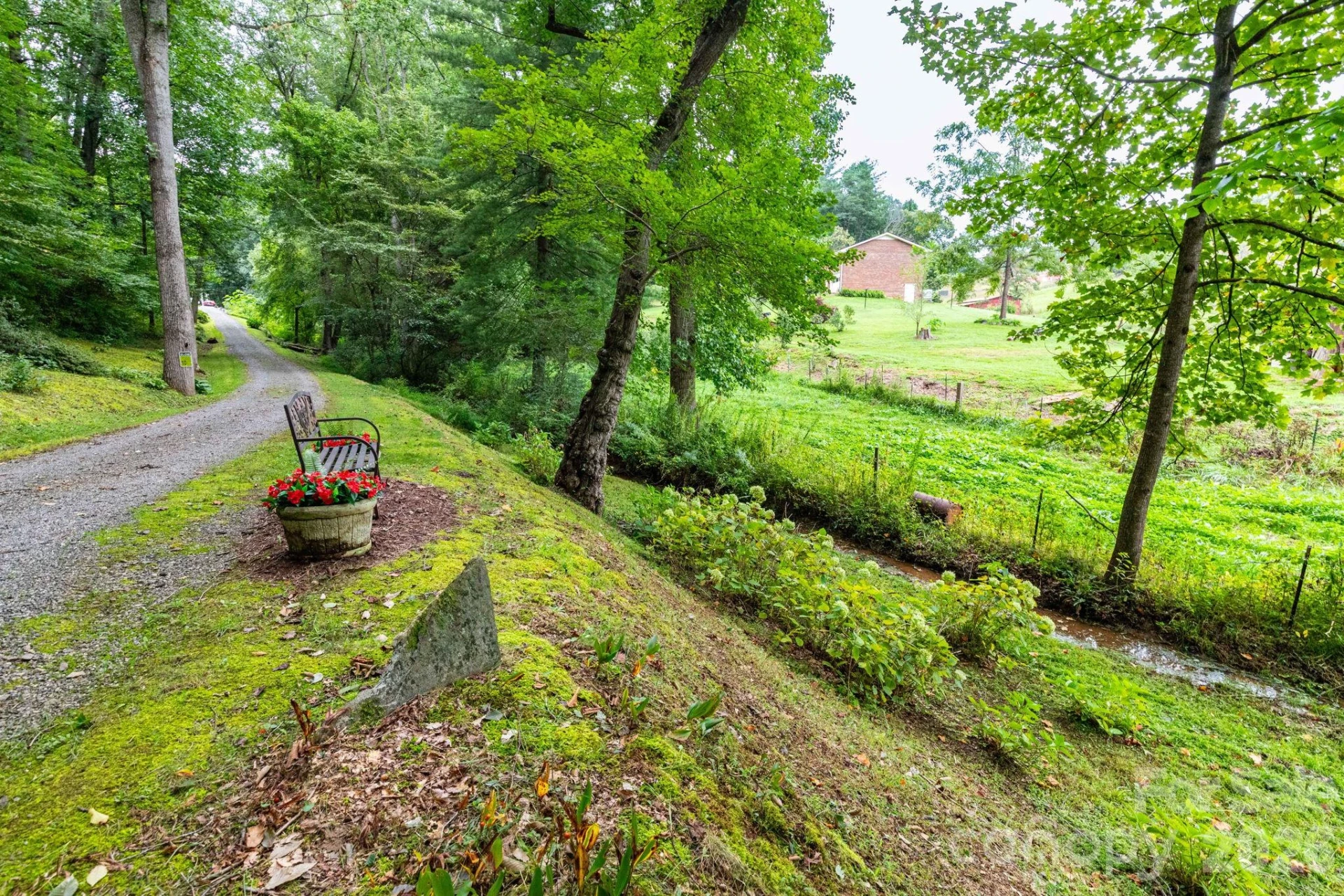 48 Melissa Lane - Photo 19