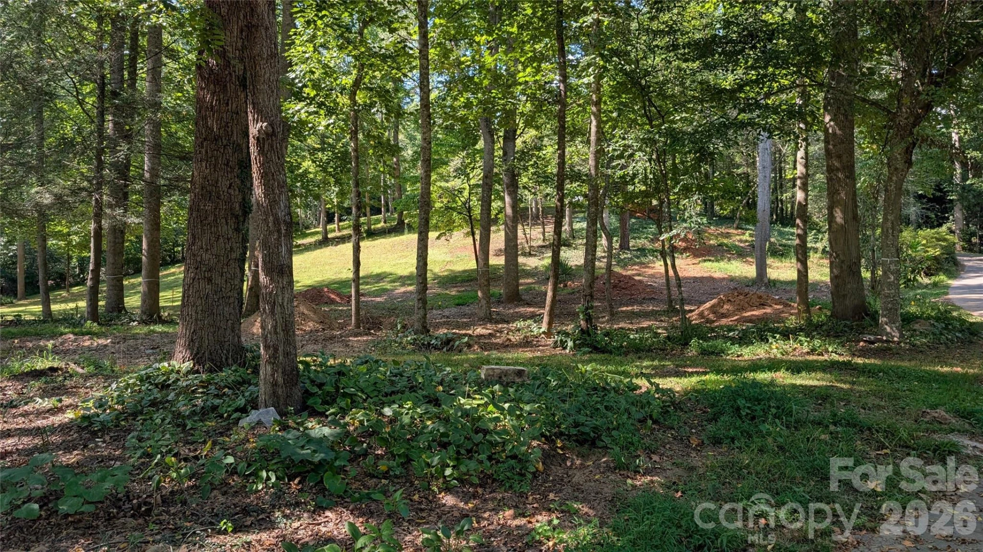 99999 Sunnybrook Drive #10-R - Photo 14