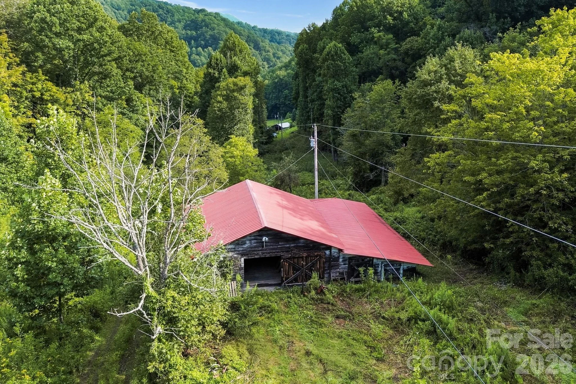 1545 North Fork Road - Photo 3