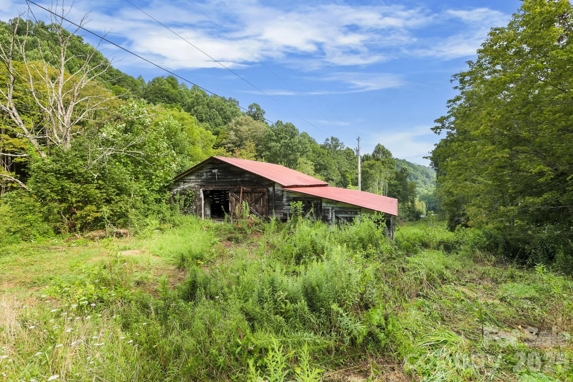 1545 North Fork Road - Photo 4