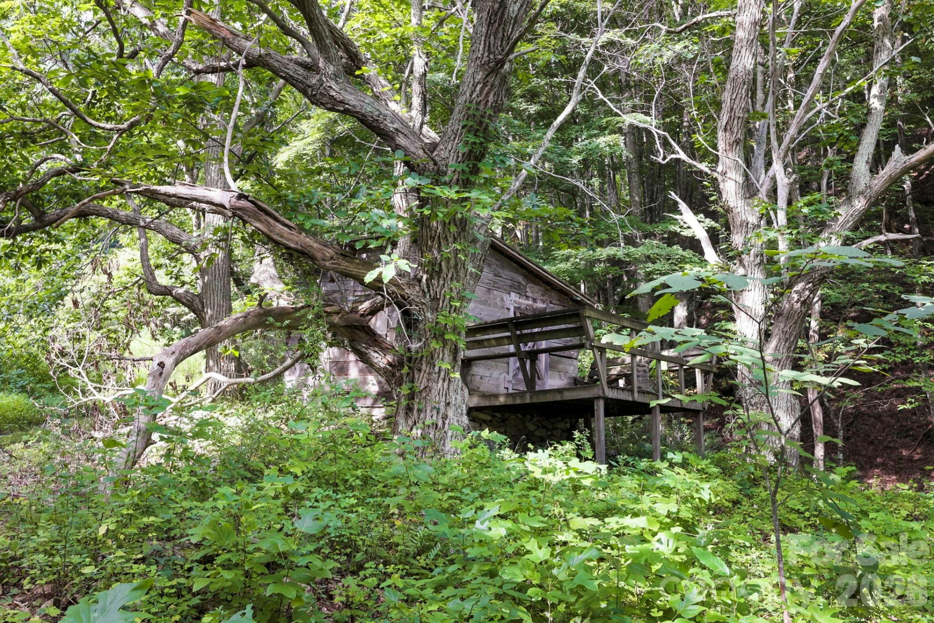 1545 North Fork Road - Photo 15