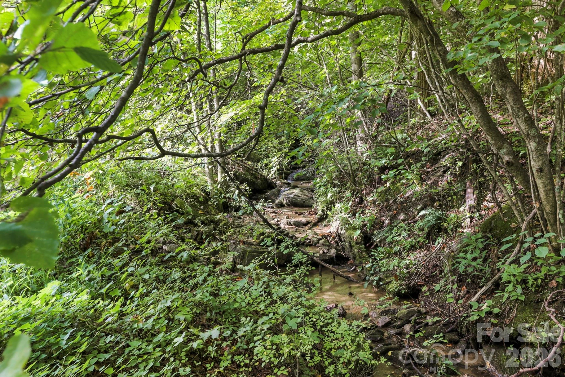 1545 North Fork Road - Photo 17