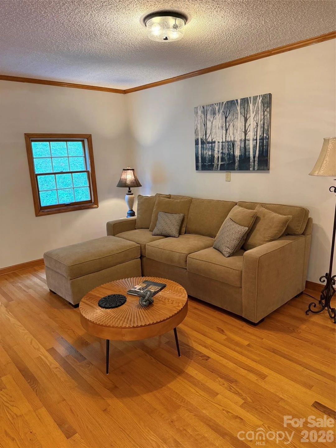 163 Meadowbrook Lane - Photo 23