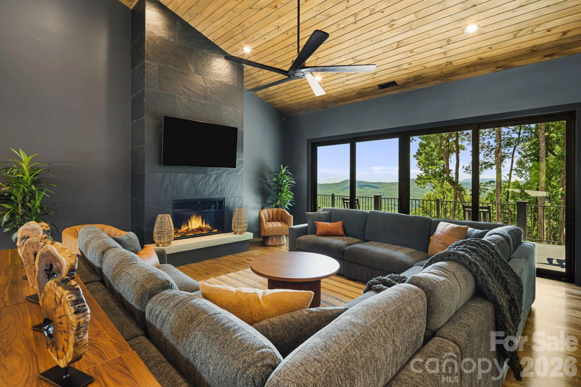 538 Pinnacle Mountain Preserve Road - Photo 3