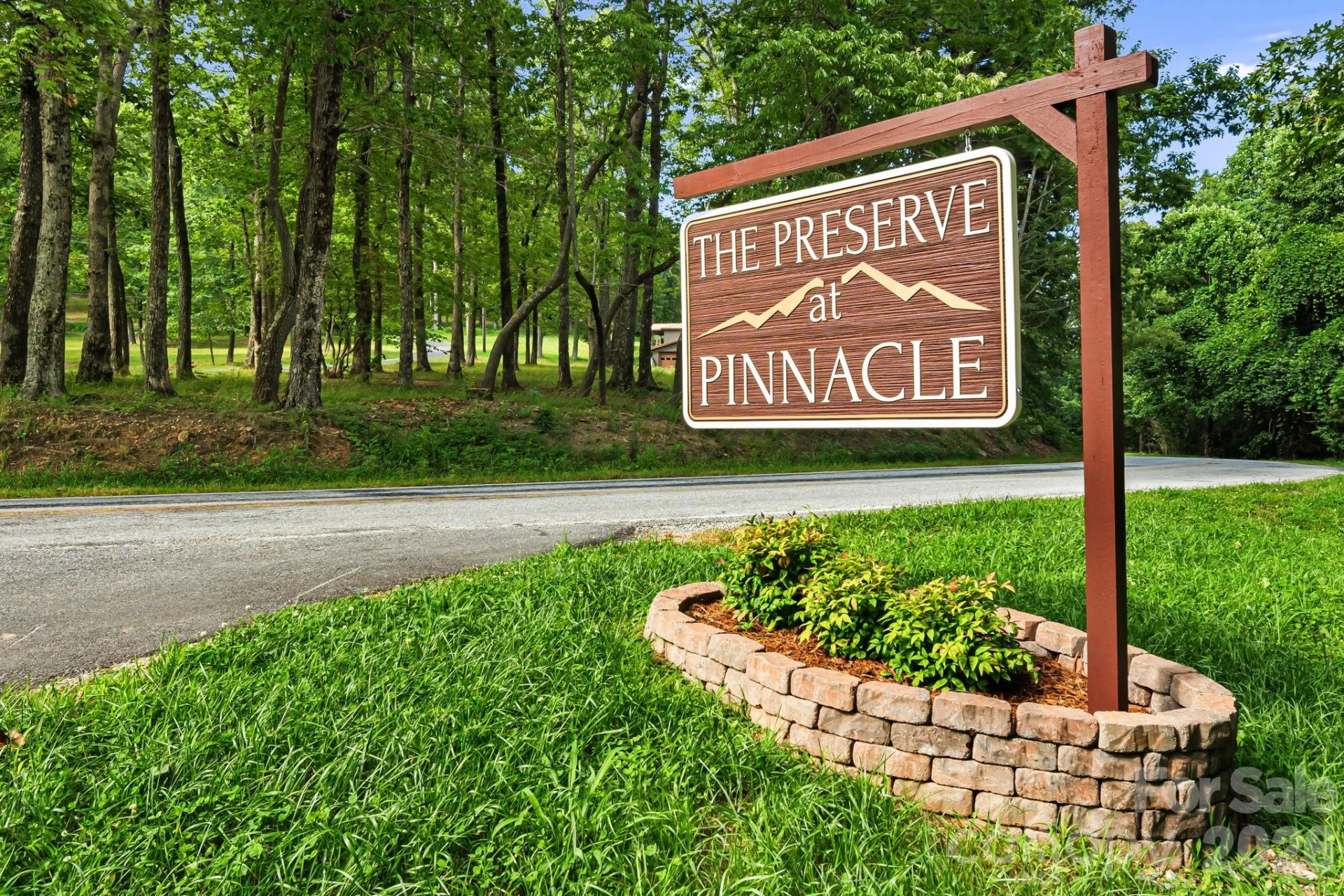538 Pinnacle Mountain Preserve Road - Photo 42
