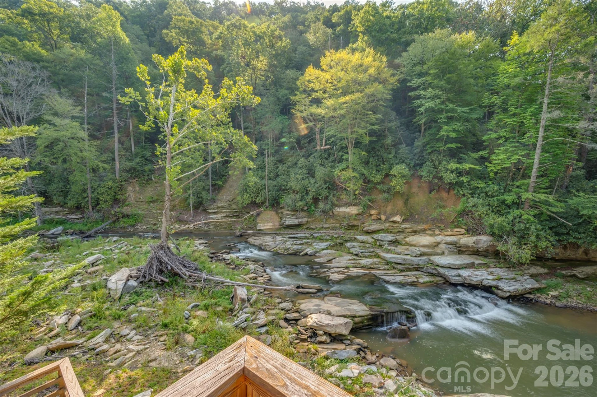 1008 Hardison Falls Trail - Photo 24