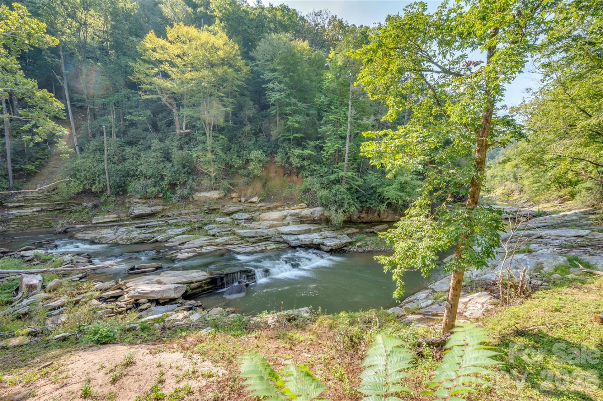 1008 Hardison Falls Trail - Photo 31