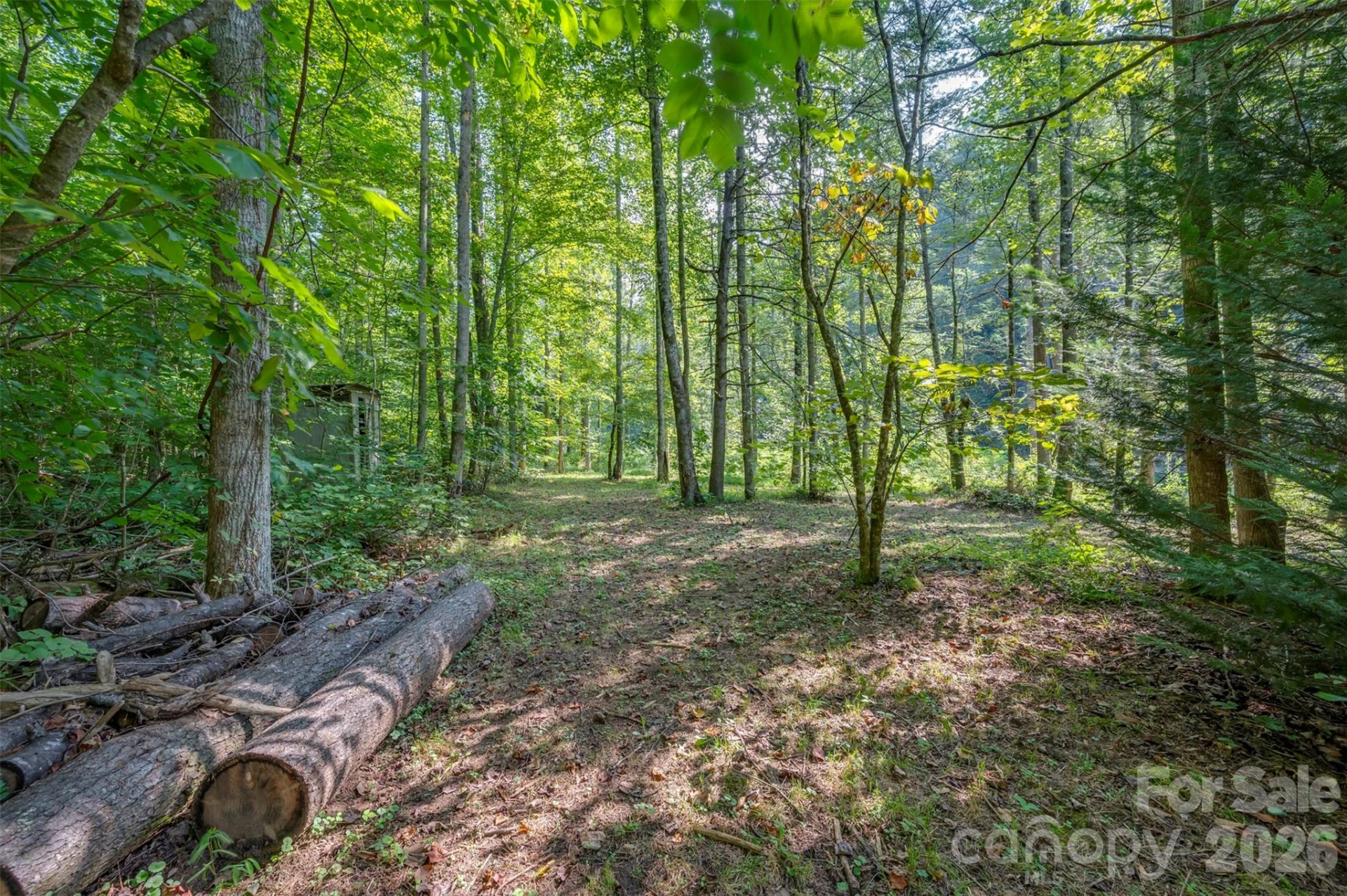 1008 Hardison Falls Trail - Photo 32
