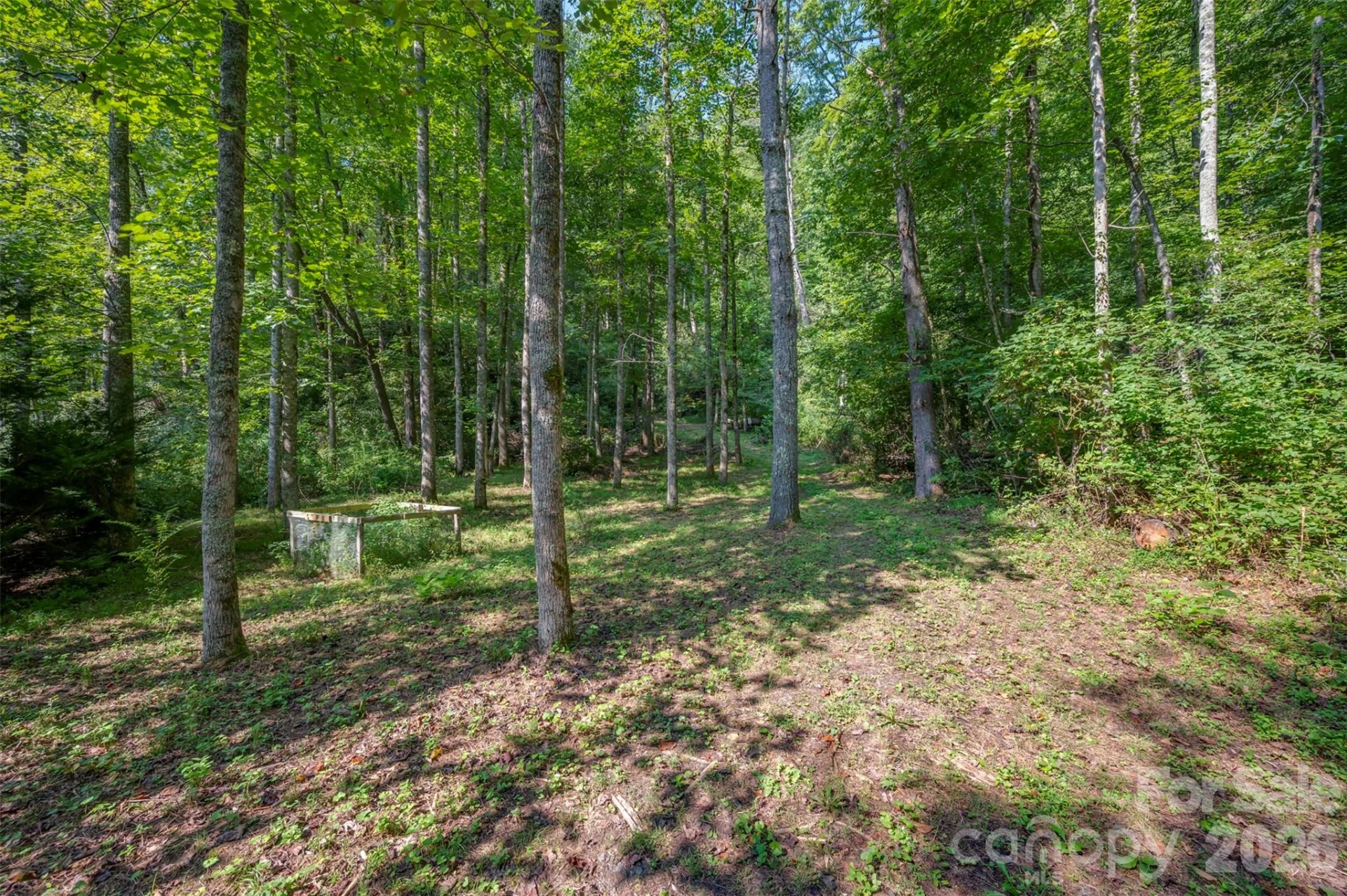 1008 Hardison Falls Trail - Photo 33