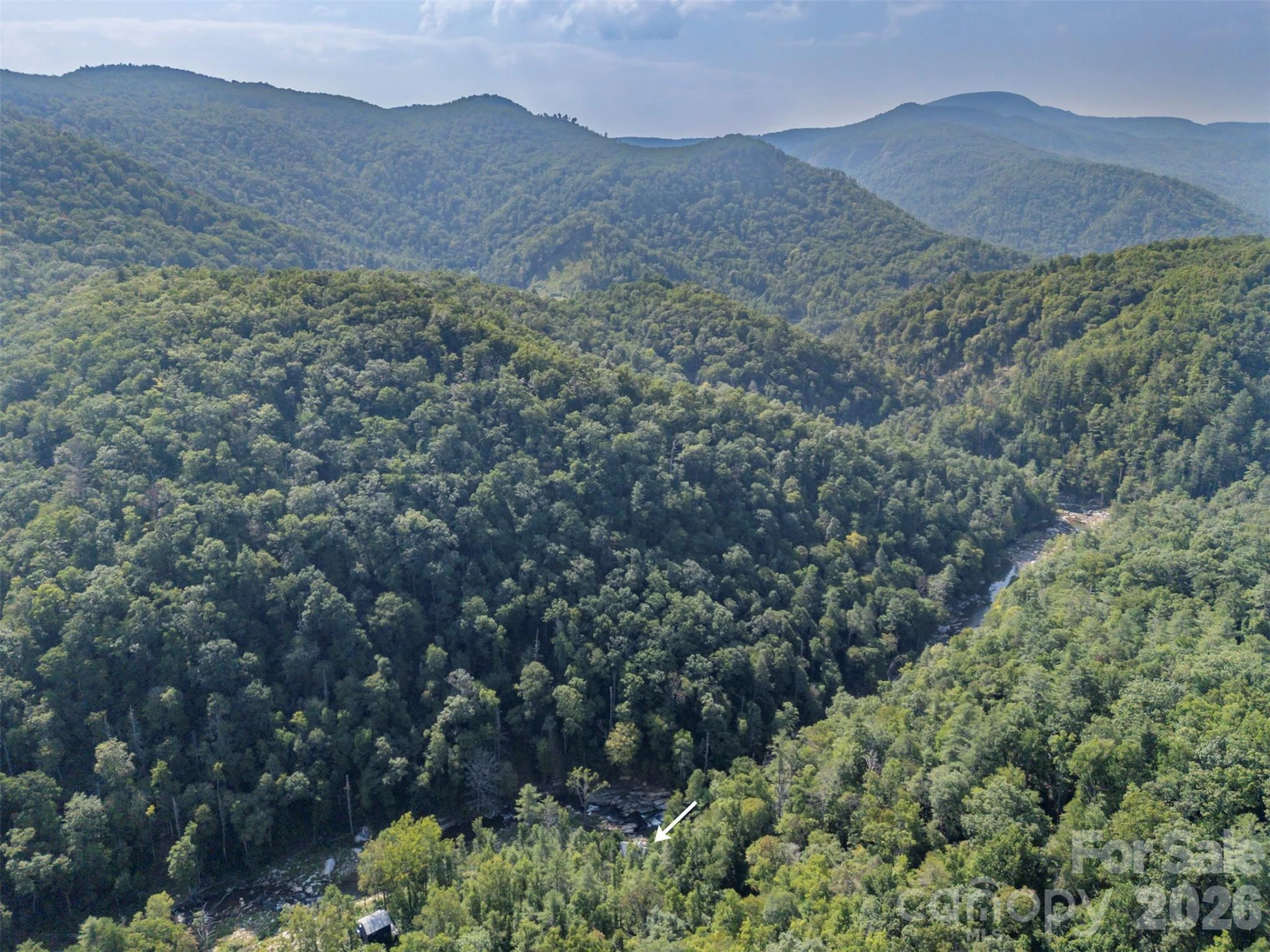 1008 Hardison Falls Trail - Photo 37