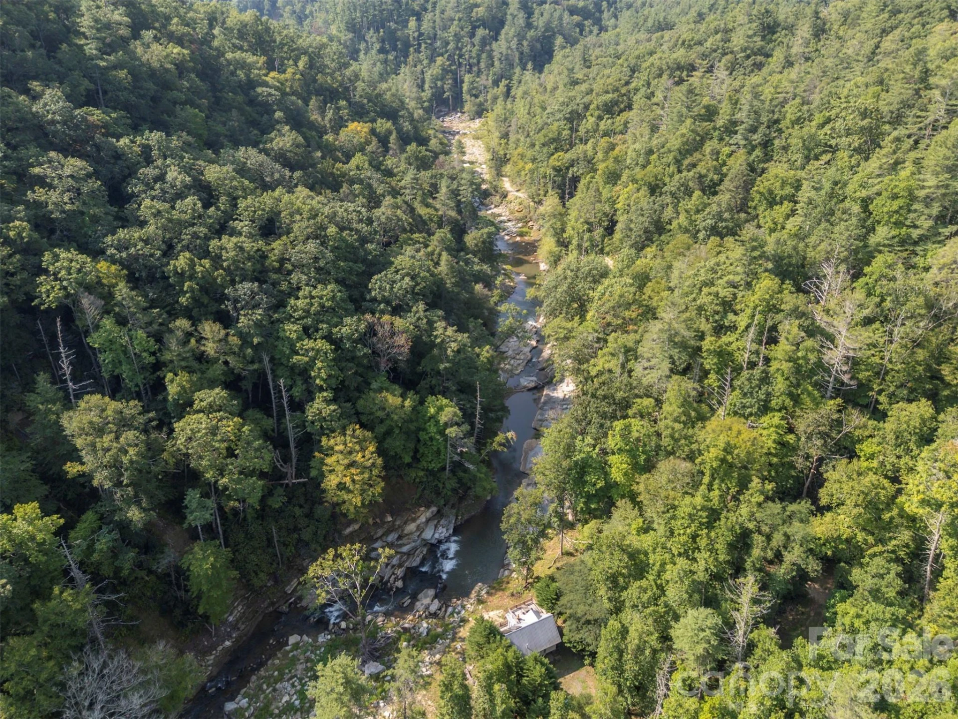 1008 Hardison Falls Trail - Photo 38