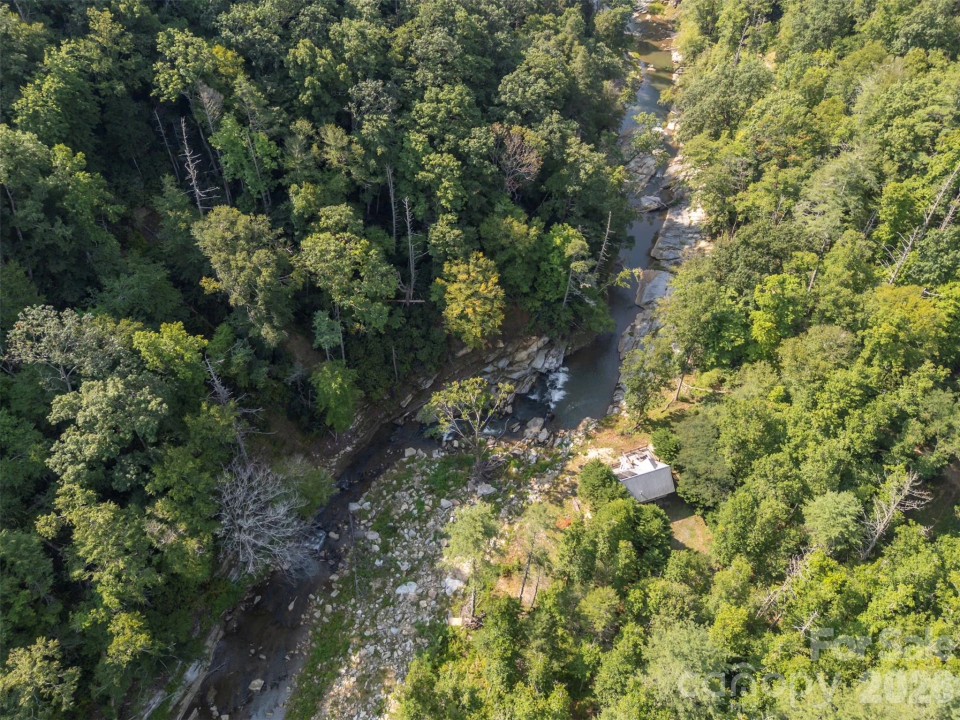 1008 Hardison Falls Trail - Photo 39