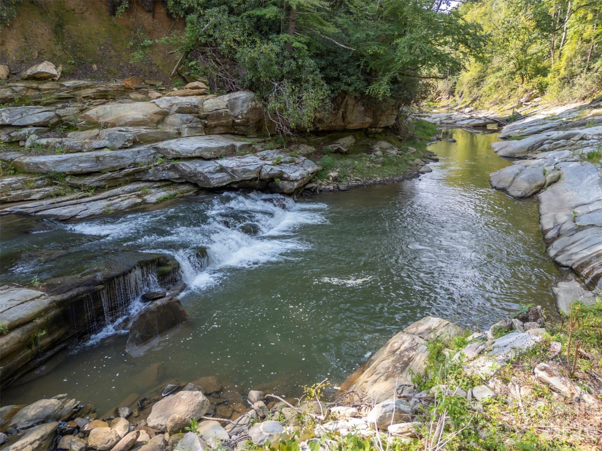 1008 Hardison Falls Trail - Photo 41
