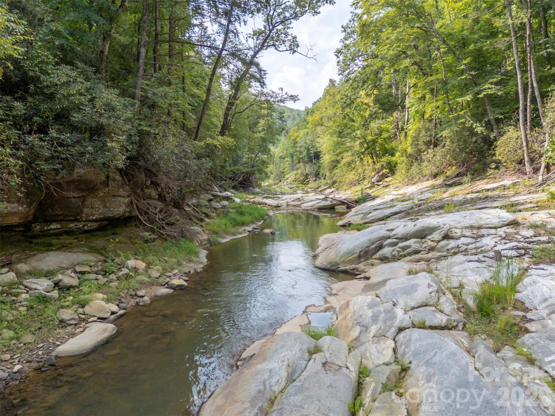 1008 Hardison Falls Trail - Photo 44