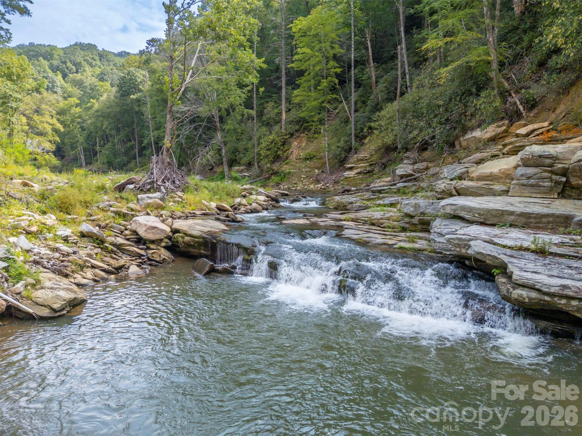 1008 Hardison Falls Trail - Photo 45