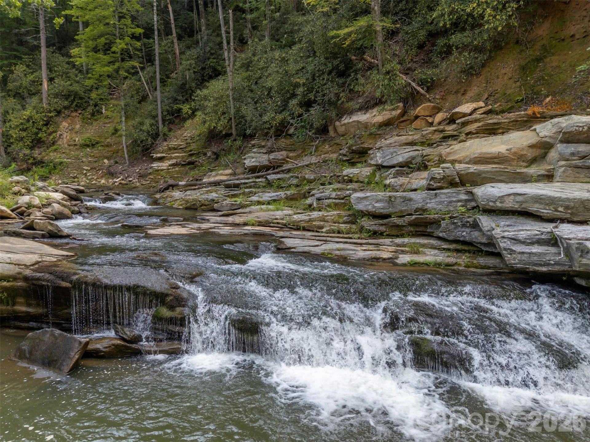 1008 Hardison Falls Trail - Photo 46