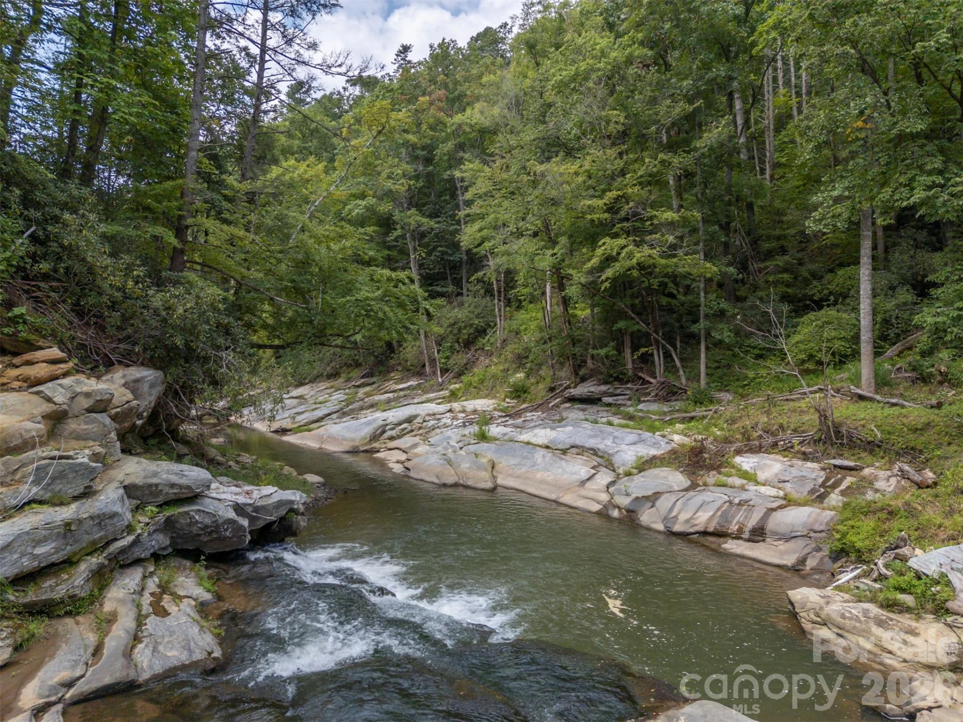 1008 Hardison Falls Trail - Photo 47