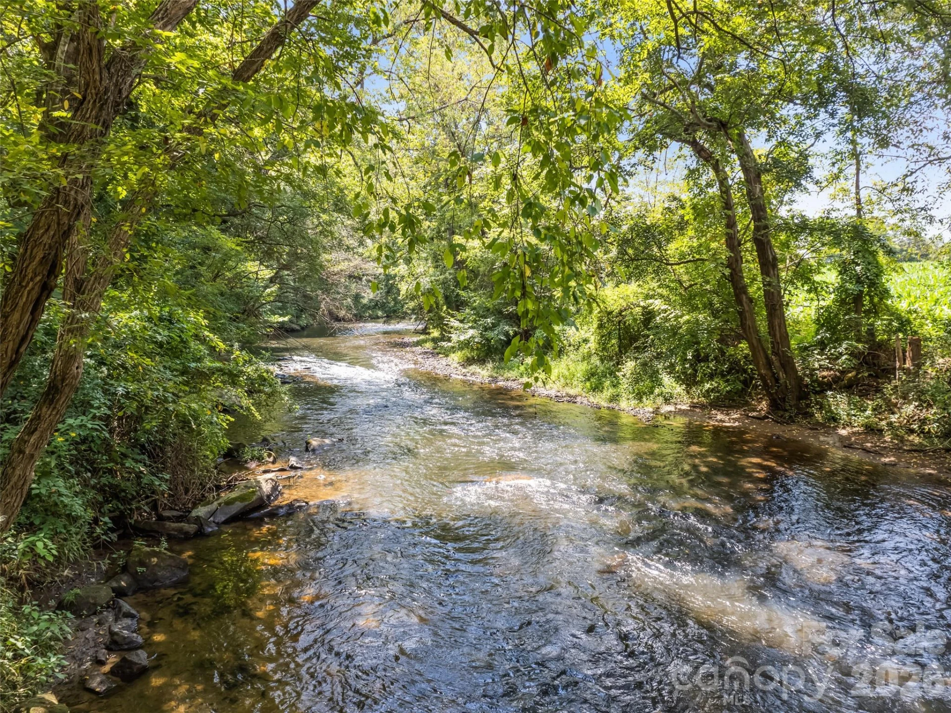 404 Loop Road - Photo 2